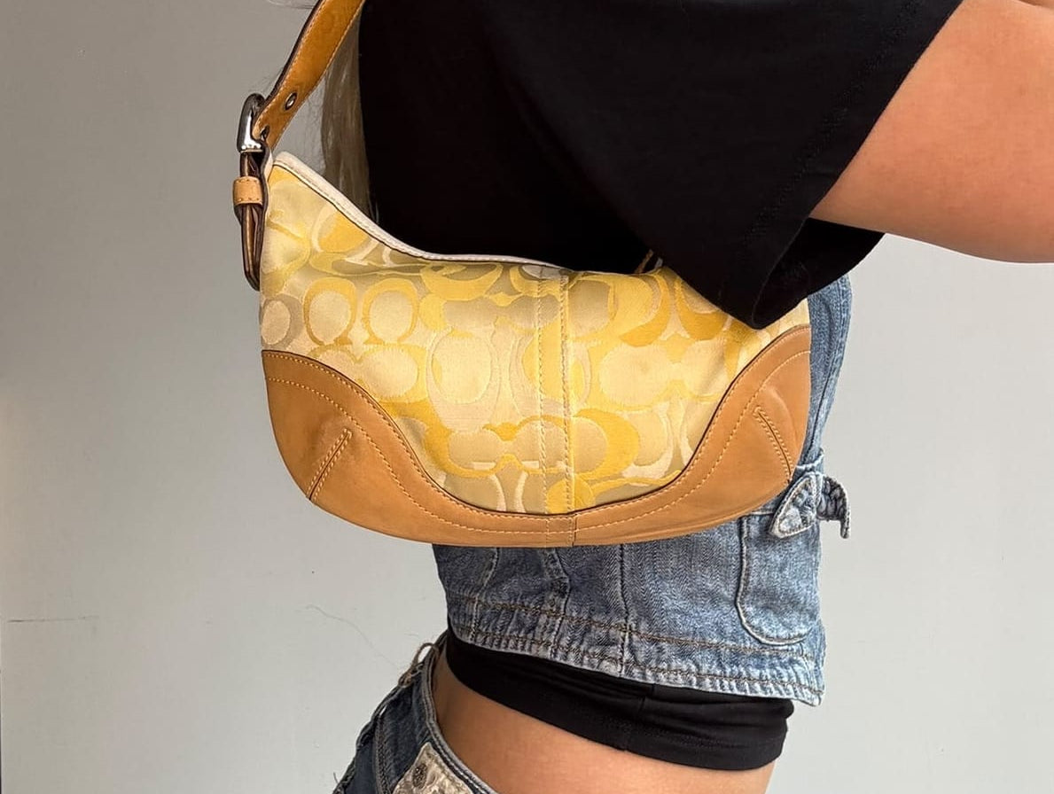 Coach Coach Soho Optic Hobo Bag