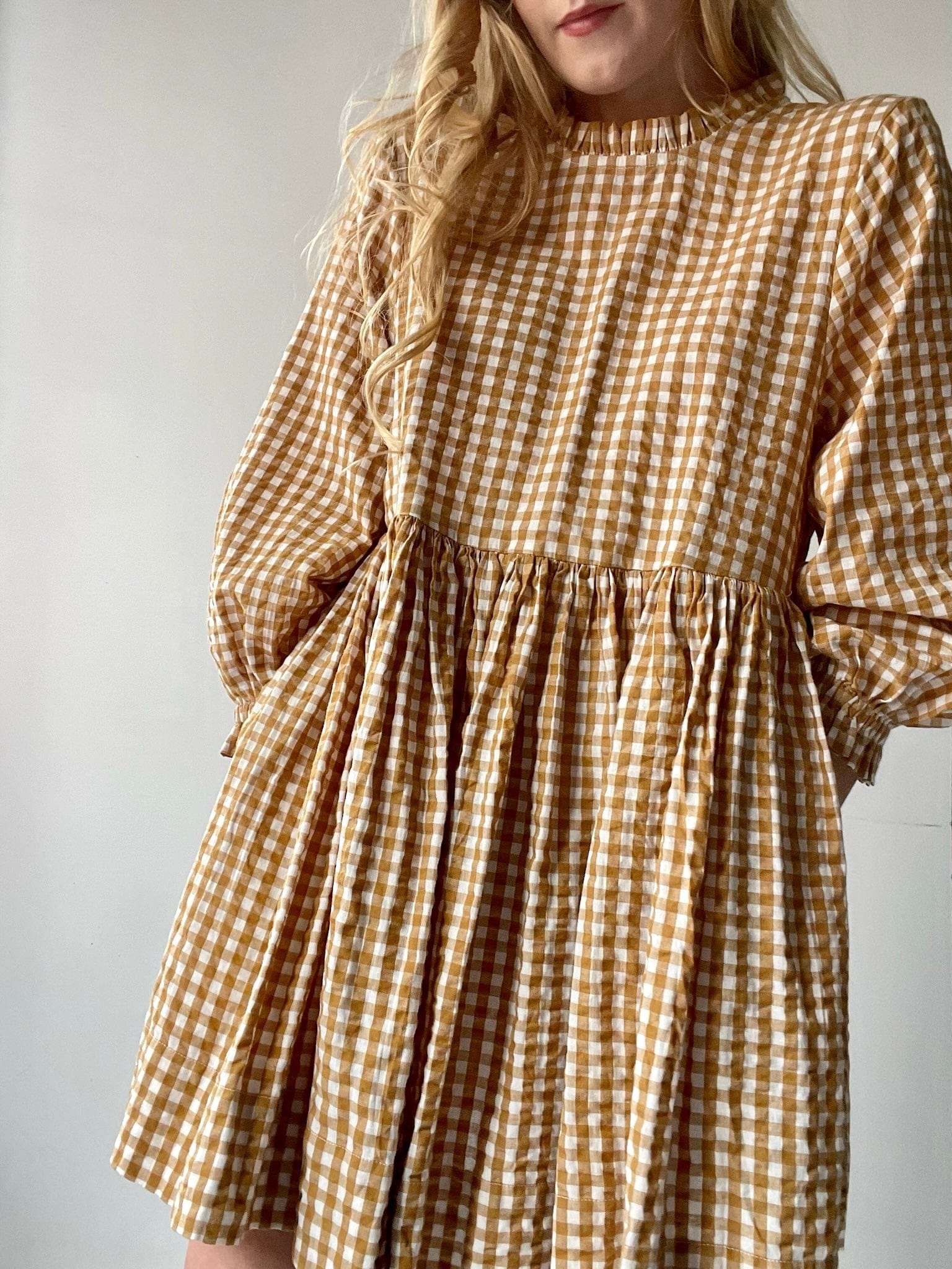 Free People Free People Gingham Dress