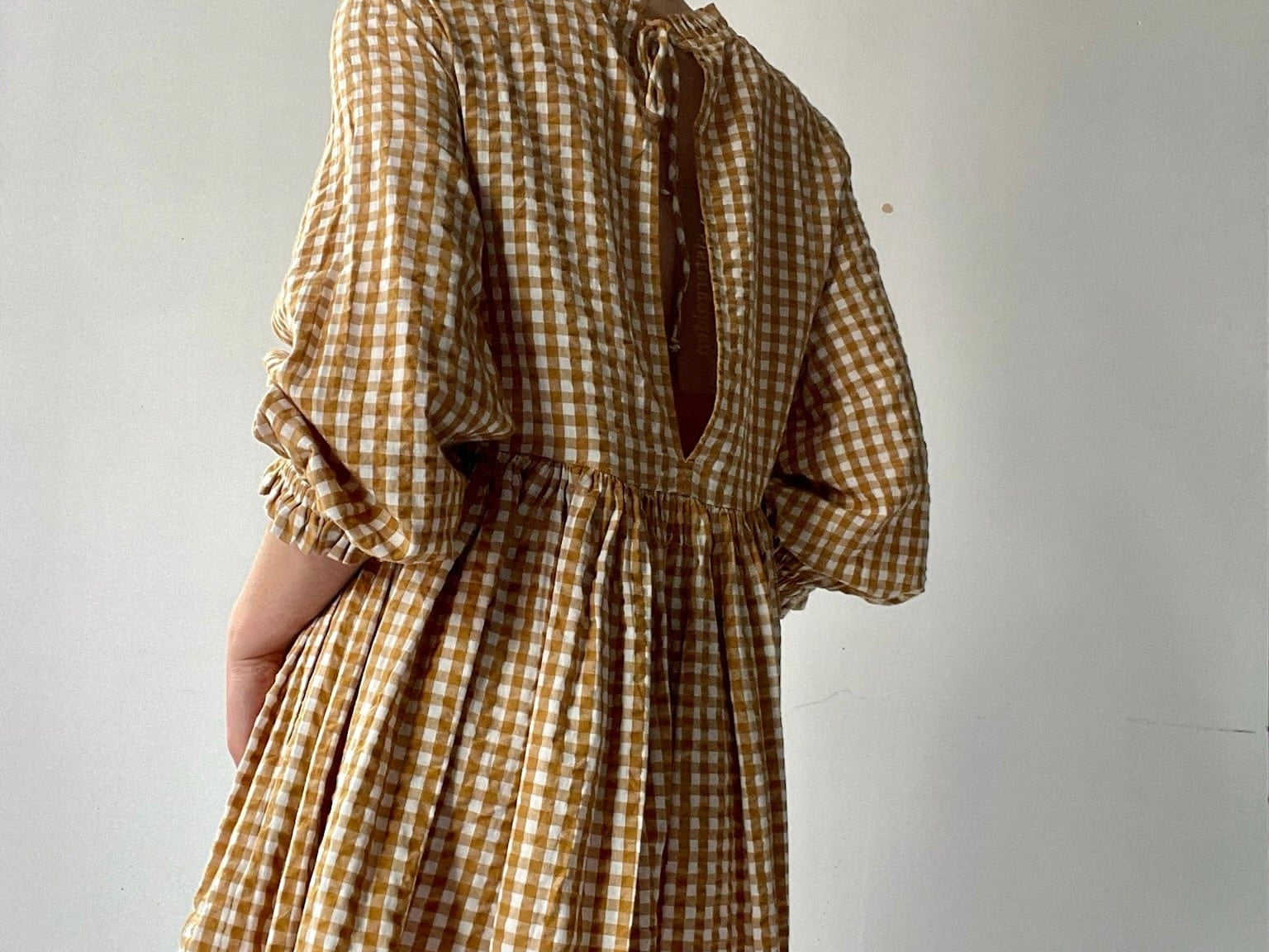 Free People Free People Gingham Dress