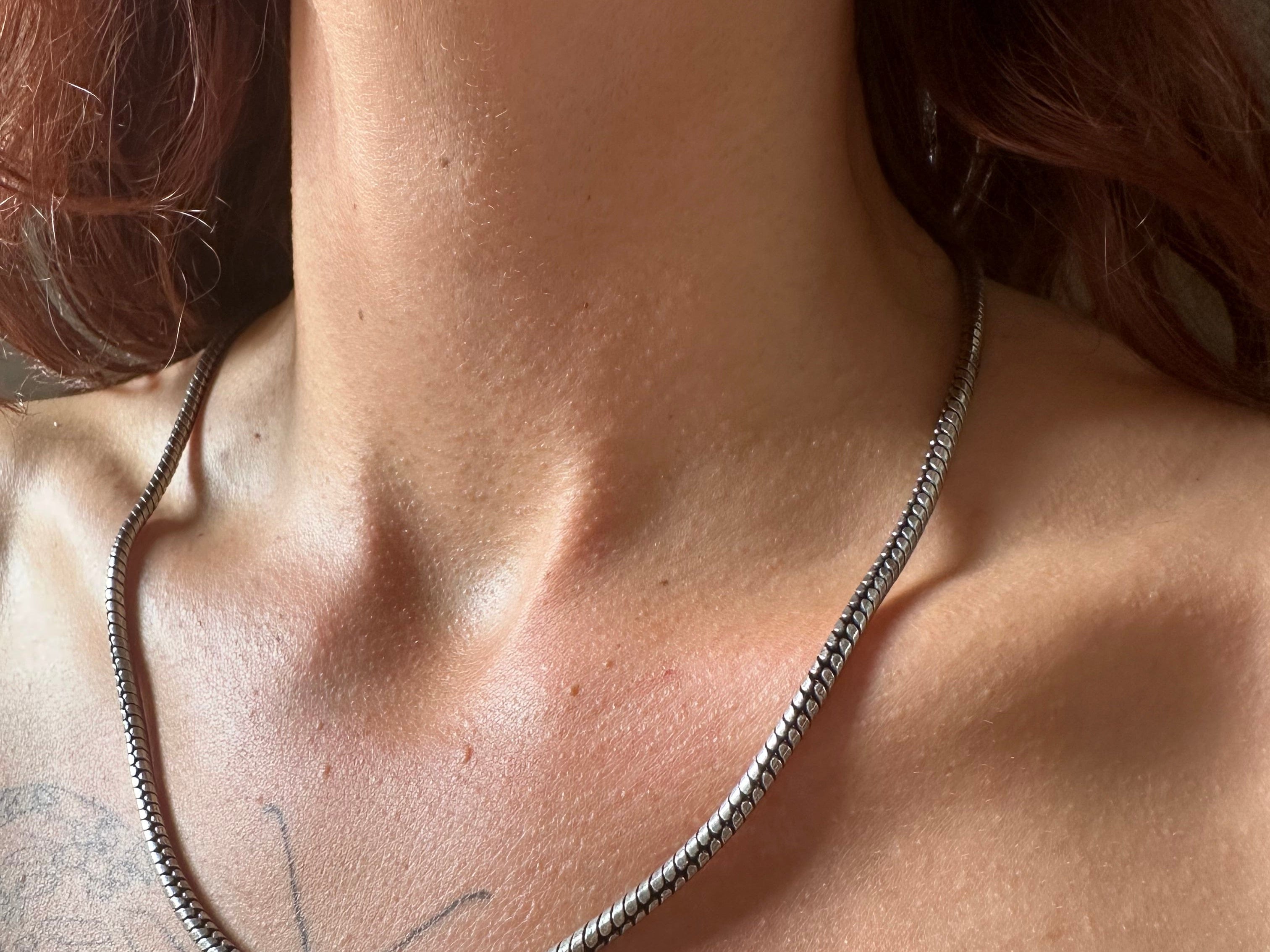 Sistergolden Snake Chain Silver necklace